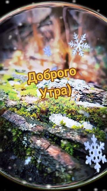 Счастливый день