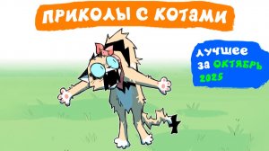 Приколы с котами. ЛУЧШЕЕ ЗА ОКТЯБРЬ 2025 | Мемозг