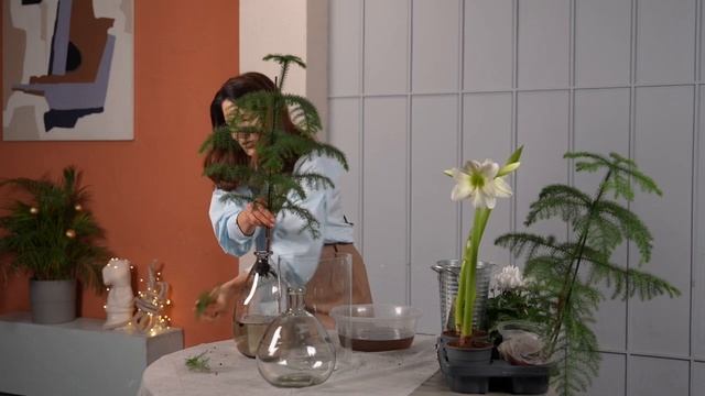 ЁЛКИ, которые НЕ ДЛЯ ВСЕХ 🫢😲🤤🌲 смотреть онлайн