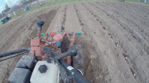 посадка картошки  2023  окучниками спереди