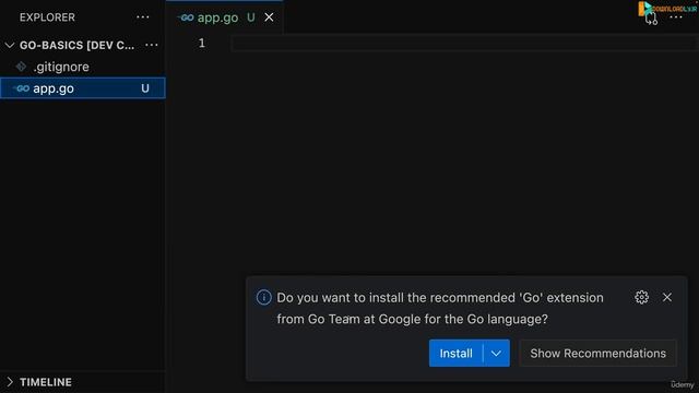 004 Local Code Editor Setup For Go Development смотреть онлайн