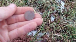 Прогулка и коп с Nokta Find X Pro