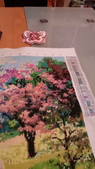 Video_20251212_160623.mp4