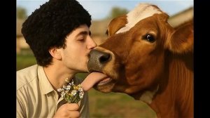 Доярка и пастух.mp4