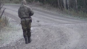 Охота Тайга Скрадывание Рябчиков 2025 ДИЧИ Сибирь Дичь Рябчик Сухопит2909 Максим