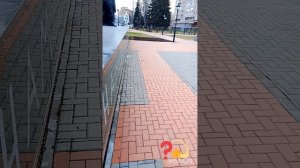 СССР.🚩РСФСР,МОС. Депутатский запрос ИО замещающего зан. должность РФпрезидента «ВВП».