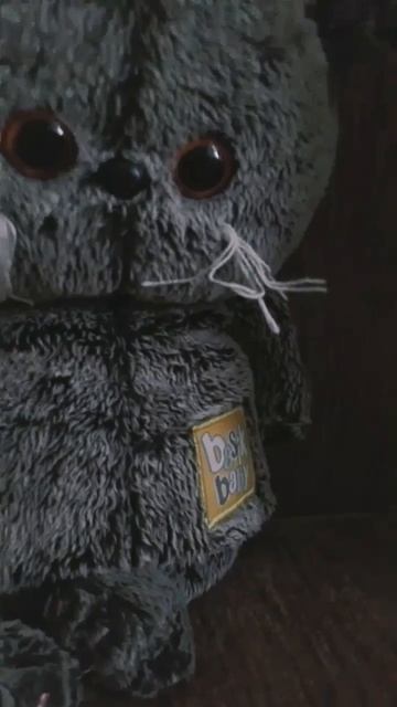 если бы котики ходили в школу