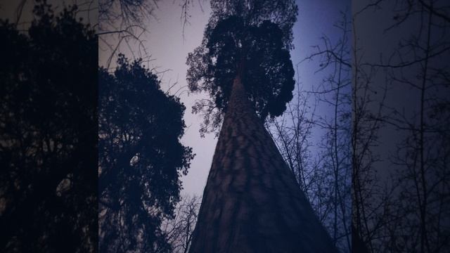 GitStudio - Acceleration