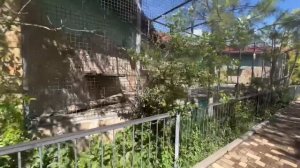 Перед гибелью малыша мы так радовались что у Риты все налаживается…