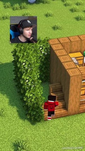 ПРОСТОЙ Стартовый Дом в Майнкрафт! 🏠✨ #shorts #шортс #minecraft #майнкрафт #майн #прикол #постройка