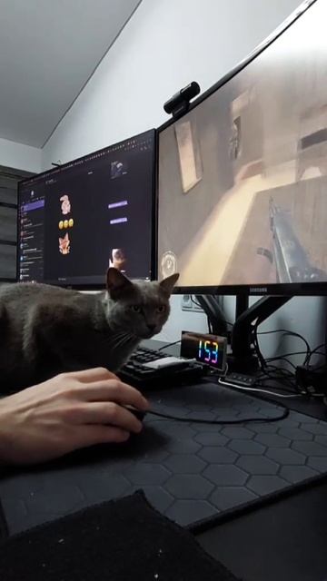 video_2025-12-12_15-38-42 смотреть онлайн