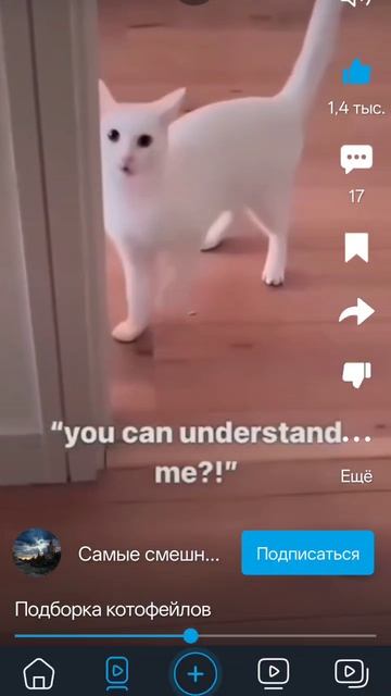 Коты пирдужки смотреть онлайн