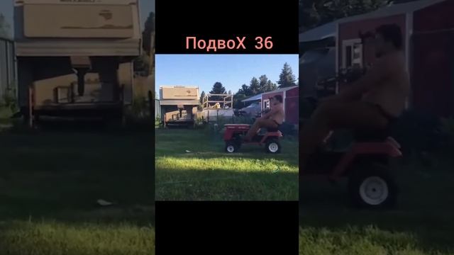 Приколы, юмор, хохма.