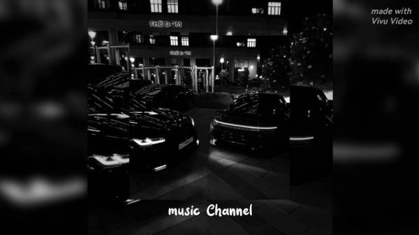 AMSTERDAM - ICEGERGERT (salame blend)