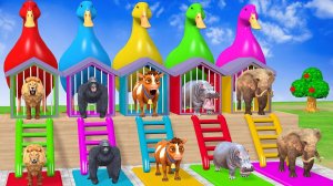 Веселые игры с слоном, гориллой, бегемотом, тигром - 3D игра с животными - Забавные 3D животные