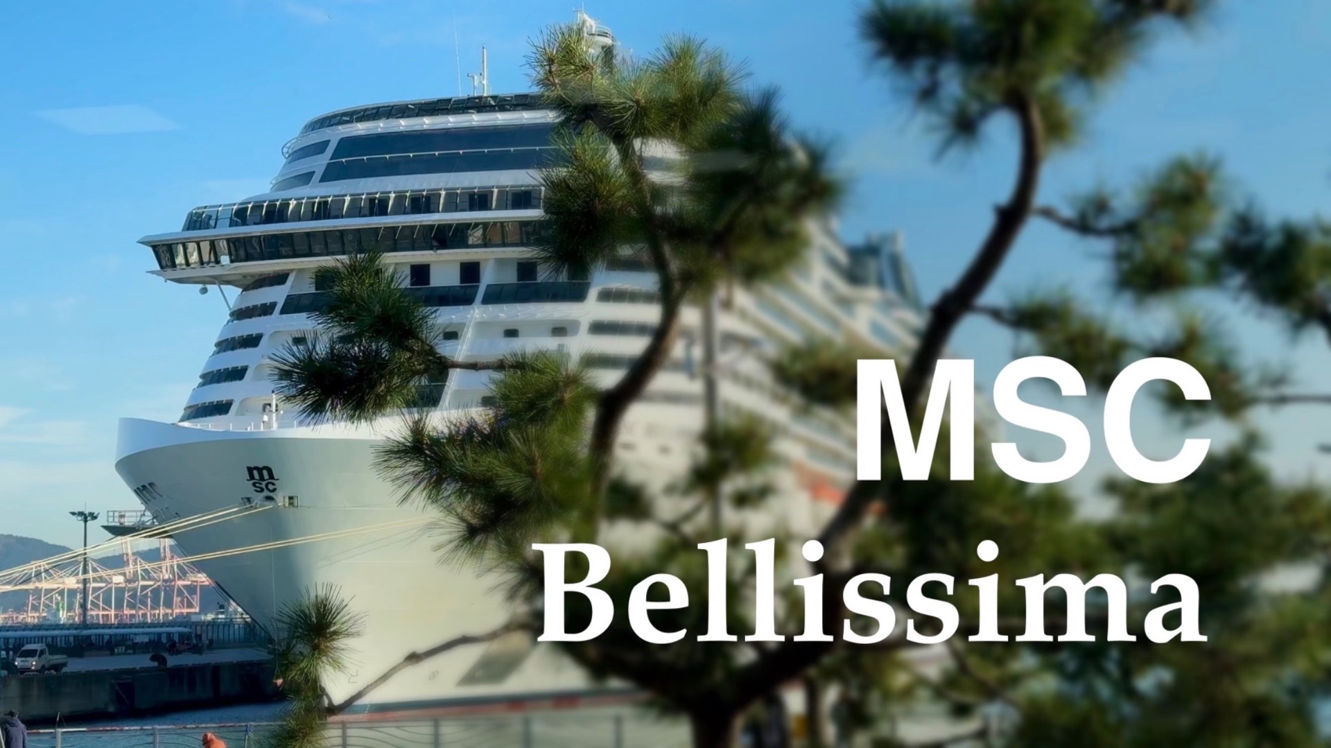 MSC Bellissima