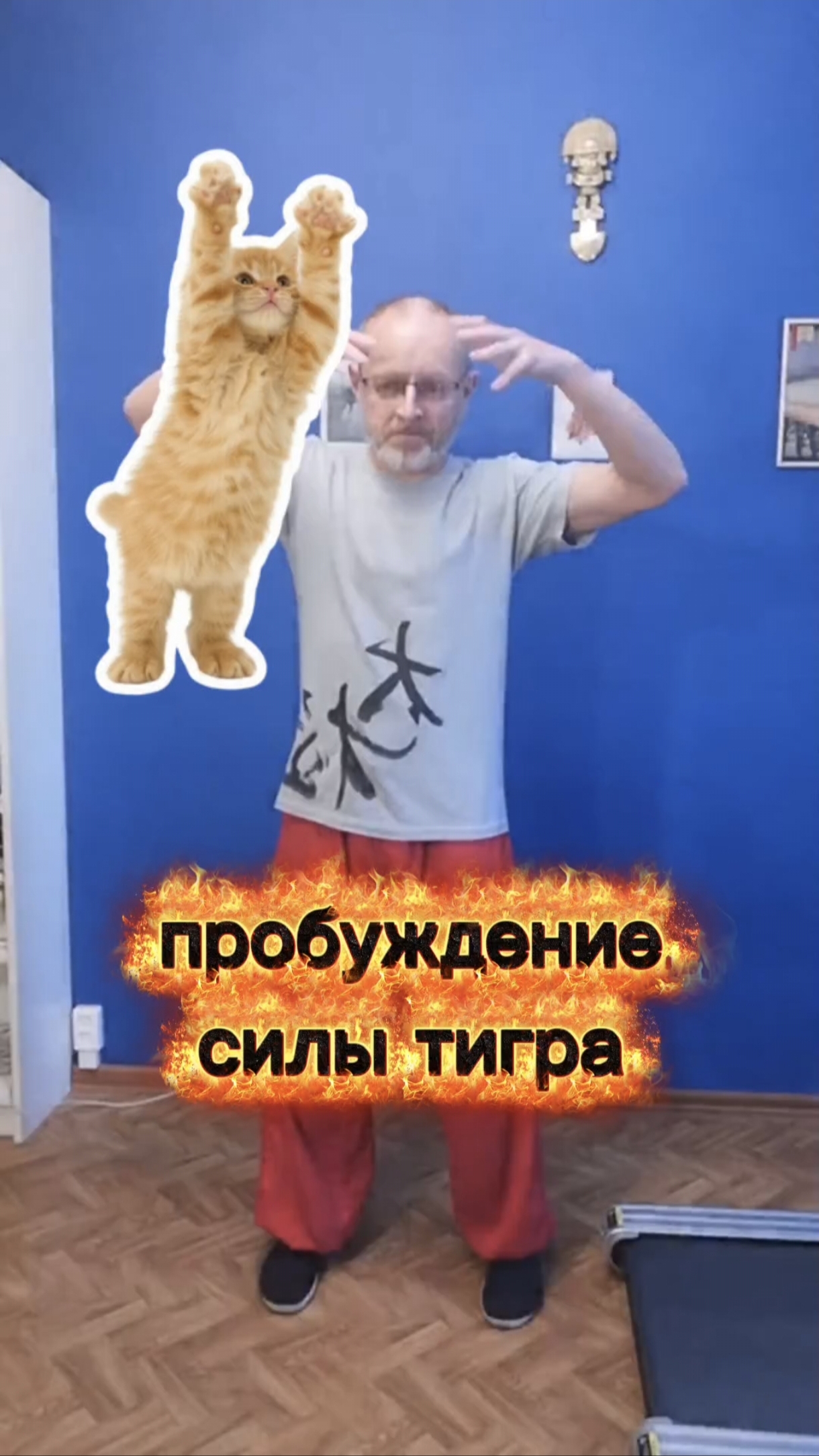 Пробуждение силы тигра: тигр поднимает лапы 🐯 (1-е упражнение комплекса Игры 5 зверей, У Цинь Си). смотреть онлайн