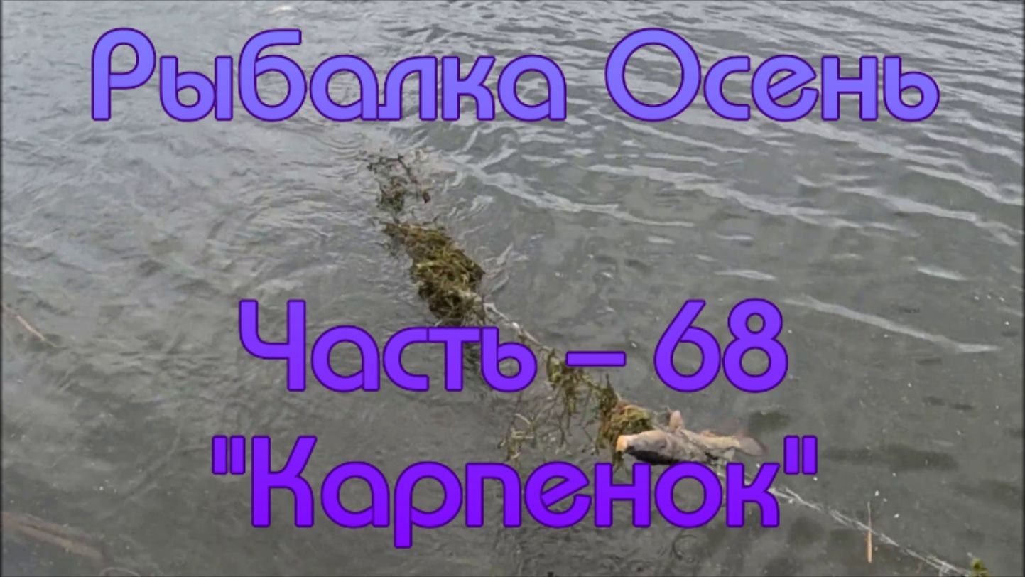 Рыбалка Осень. Часть - 68. "Карпенок". смотреть онлайн