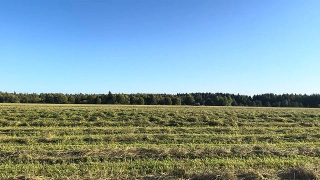 Привела в порядок трактор YTO 1304! Заготавливаем сено! Сколько продали сена? смотреть онлайн