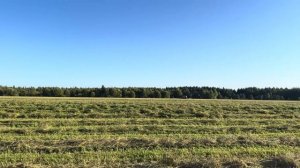 Привела в порядок трактор YTO 1304! Заготавливаем сено! Сколько продали сена?