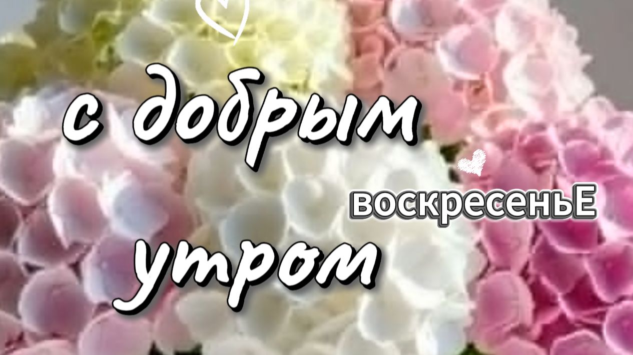 Открытки с добрым утром воскресенья — самая красивая музыкальная открытка для души