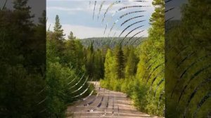 Что ты медлишь на грешном пути