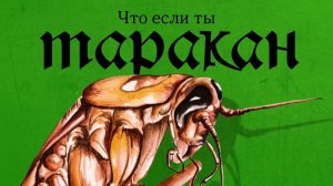 Жизнь одинокого Таракана. Разбор Кафки «Превращение»