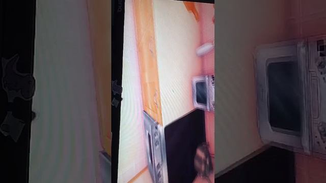 стрим по Мисайд (дубль два) смотреть онлайн