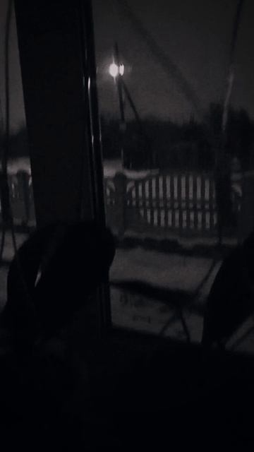 последние видео за этот день