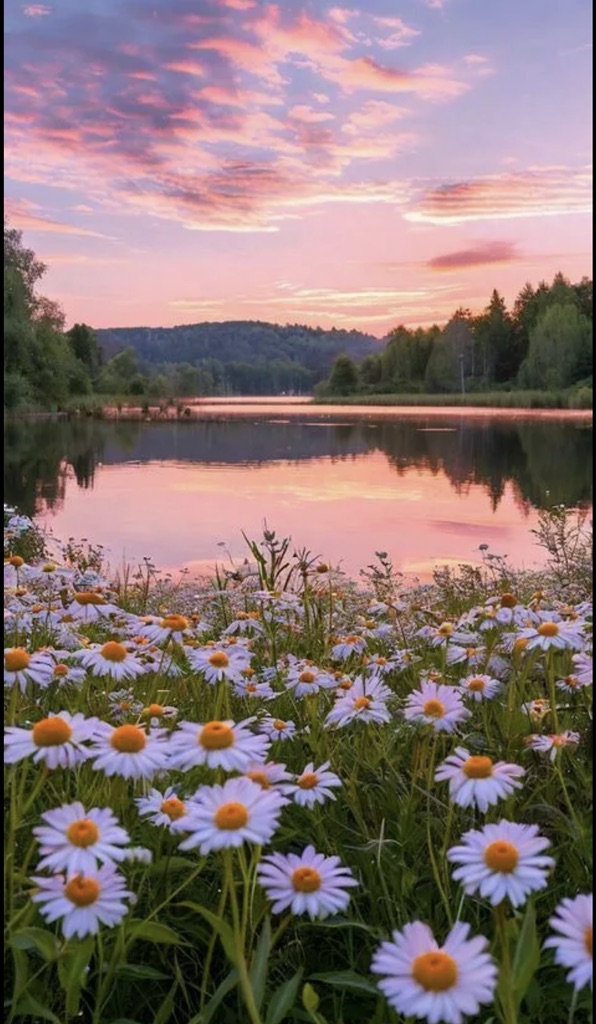 🐈 смотреть онлайн