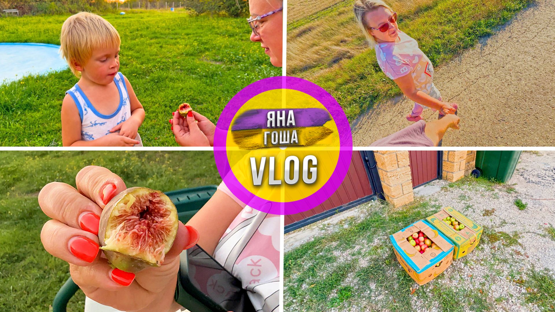 Сосед принес подарок! Мы вырастили свой первый инжир! Осенью Крыму еще лето! смотреть онлайн