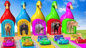 Веселые игры с слоном, гориллой, бегемотом, тигром - 3D игра с животными - Забавные 3D животные