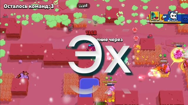 Brawl Stars | BlackCat