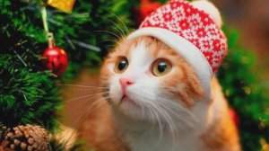 Снова шары горят новогодние