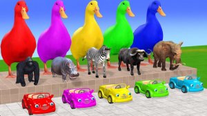 Веселые игры с слоном, гориллой, бегемотом, тигром - 3D игра с животными - Забавные 3D животные