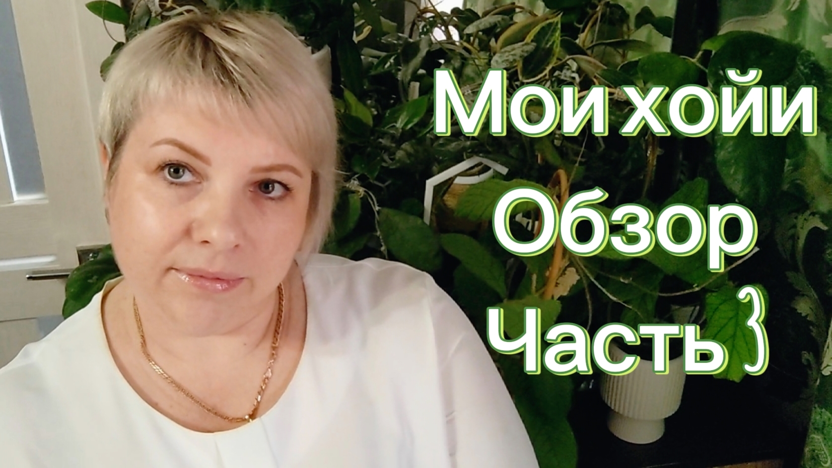 Мои хойи | Обзор коллекции | Часть 3 смотреть онлайн