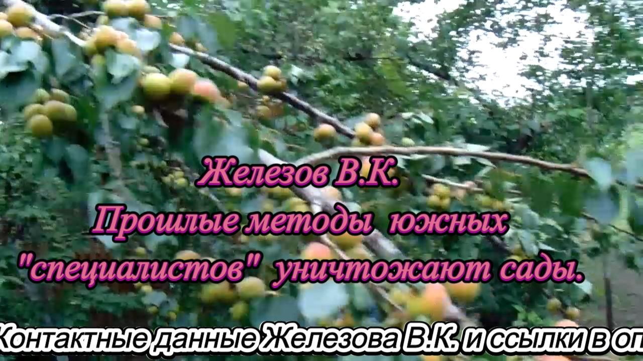 Железов В.К. Прошлые методы южных специалистов уничтожают сады. смотреть онлайн