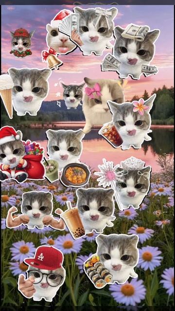 котики смотреть онлайн