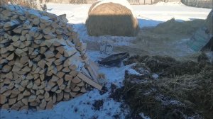 Наша жизнь в деревне. Получили посылочку с семенами на 2026 год от Ксюши!