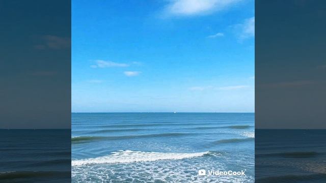 Мечты сбываются смотреть онлайн