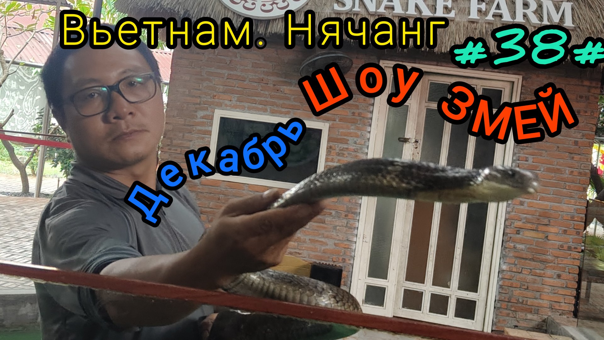 Шоу змей. Вьетнам, декабрь смотреть онлайн