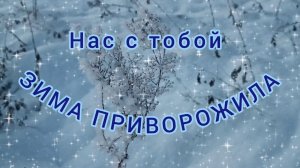 НАС С ТОБОЙ ЗИМА ПРИВОРОЖИЛА