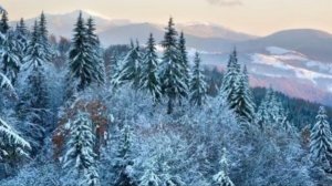 ЛЮДИ ГОВОРЯТ…РИТУАЛЫ ПОМОГАЮТ ВЫЖИТЬ…