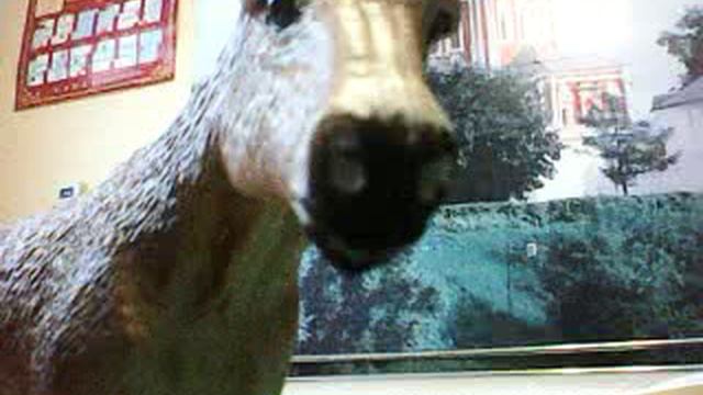 ОКТЯБРЁВСКИЙ КУХОННЫЙ БЛОГ ДО КЛЮЧИКОВ №1547 Я ПИШУ СЕГОДНЯ ВСЕМ (ДУБЛЬ ДВА 2 ЧАСТЬ)ПОД МУЗЫКУ. смотреть онлайн