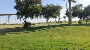 ШАРМ ЭЛЬ ШЕЙХ. ДЕКАБРЬ 2025. PICKALBATROS LUXURY AND SUITES HOTEL 5.