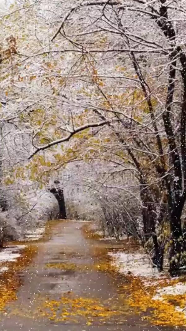 Вчера я ... смотреть онлайн