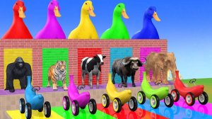 Веселые игры с слоном, гориллой, бегемотом, тигром - 3D игра с животными - Забавные 3D животные