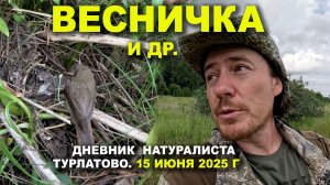 Птицы Турлатова. Дневник 15 июня 2025 г.