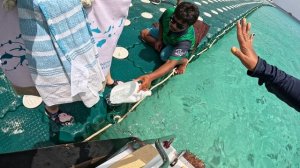 Споласкивают ноги при посадке на катер Таиланд 2025