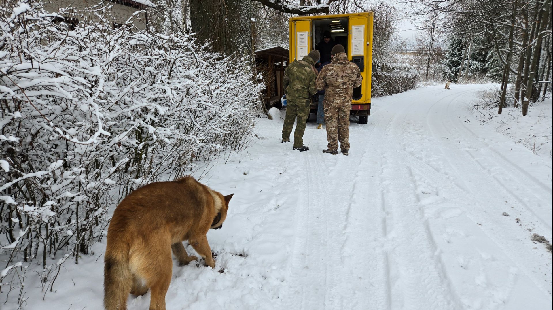 Снежный день, прогулка после автолавки и купание вазы смотреть онлайн